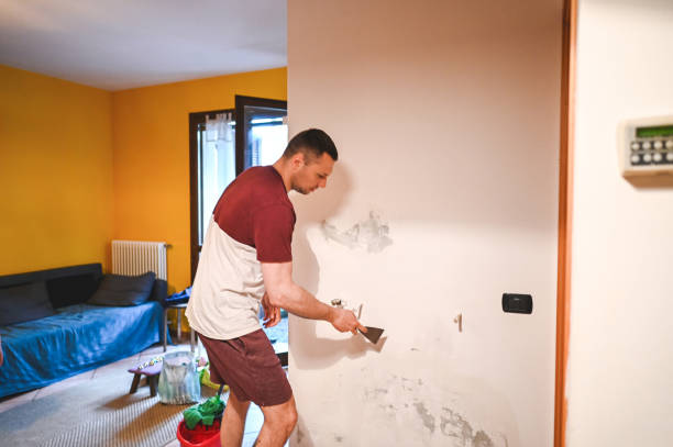 Professional Mold Removal in Burkesville, KY