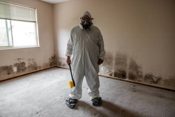 Best Mold Testing  in Burkesville, KY