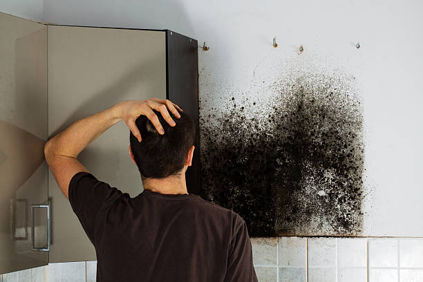 Water Damage Restoration in Burkesville, KY